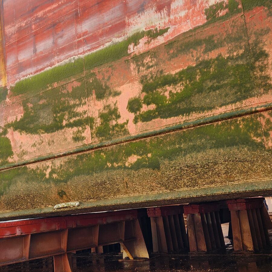 Marine growth on a hull in dry dock, ahead of blasting and repaint